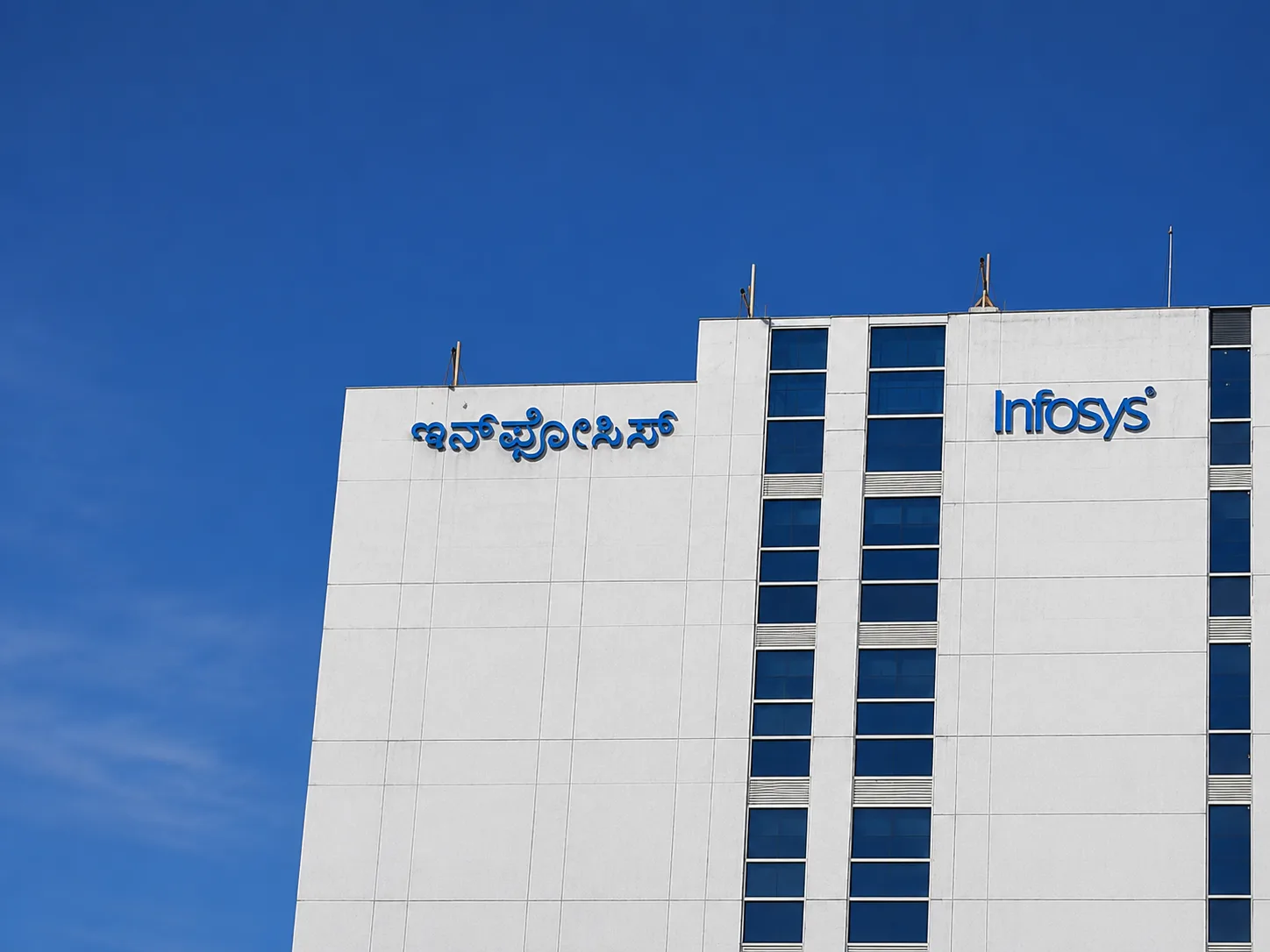Corporate workspace with environmental branding and wall graphics